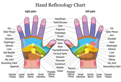 Hand Reflexology Chart